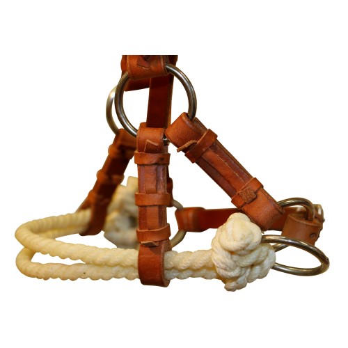 Fort Worth Double Rope Side Pull - Harness